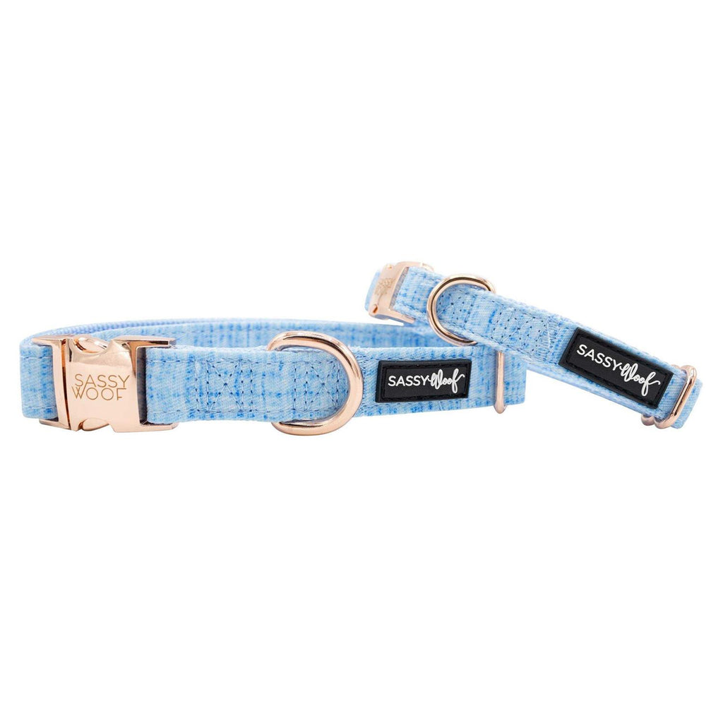 Dog Collar T97209
