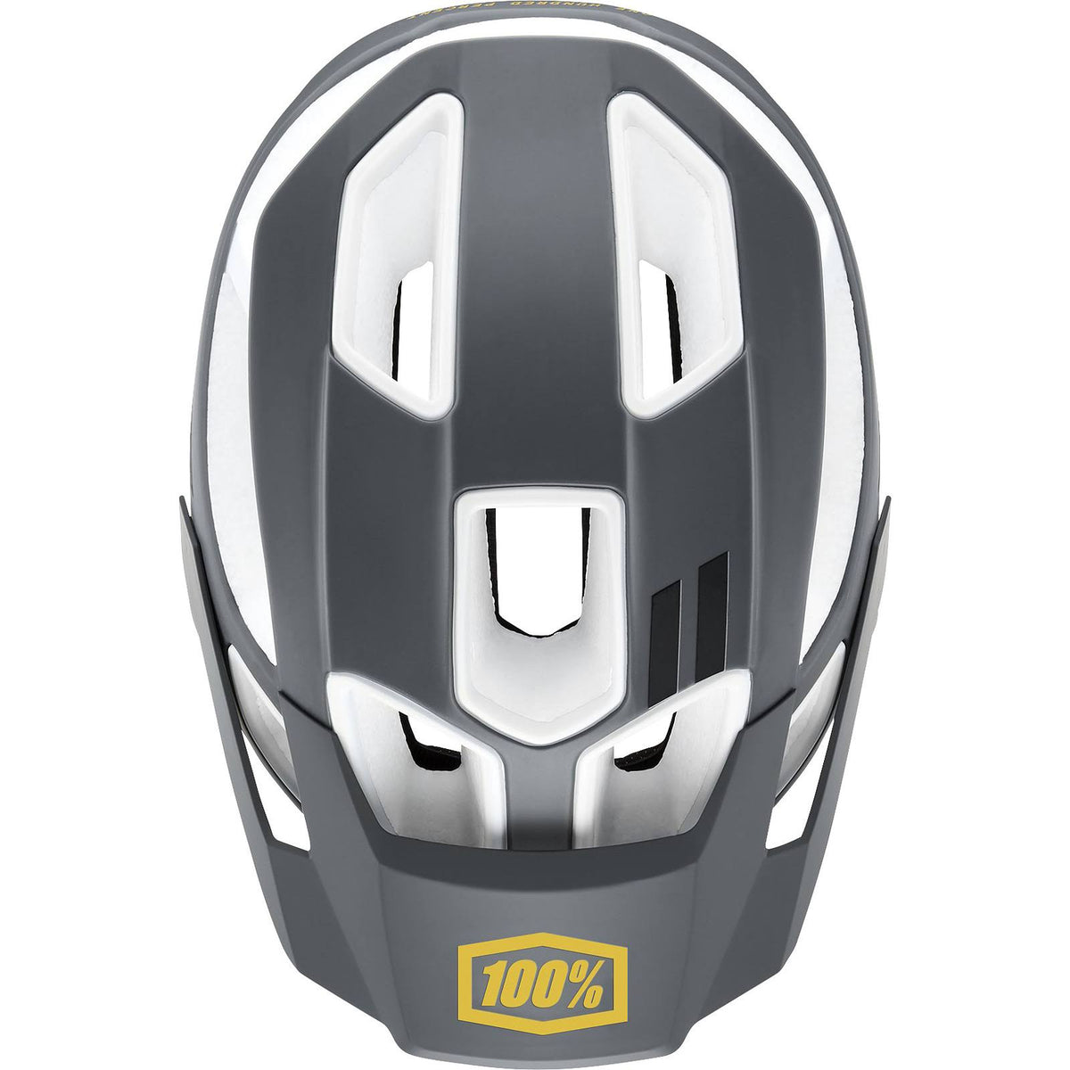 Charcoal Helmet L/XL H8202