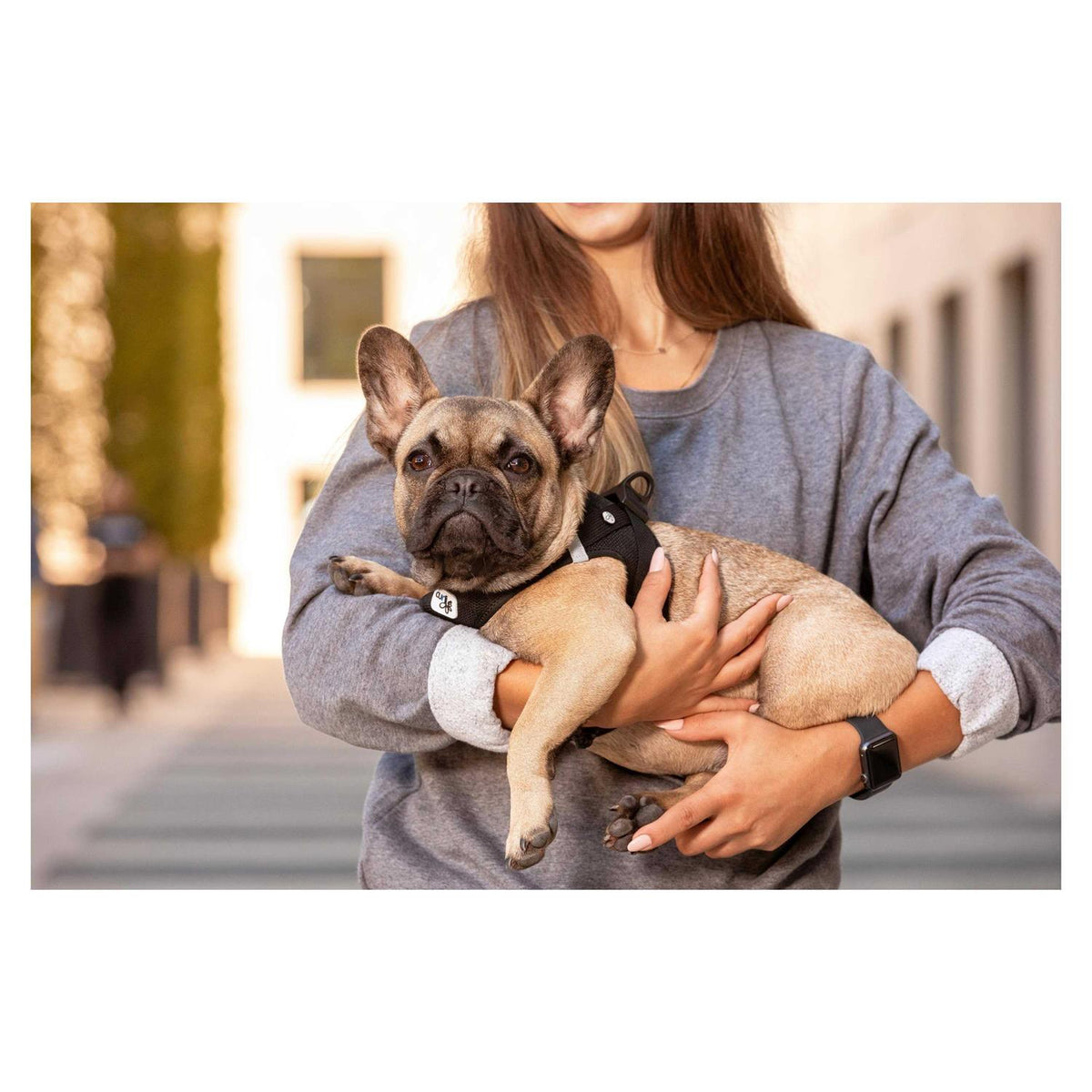 Air-Mesh Vest Dog Harness R900
