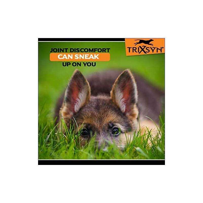 Canine Joint Supplement S353