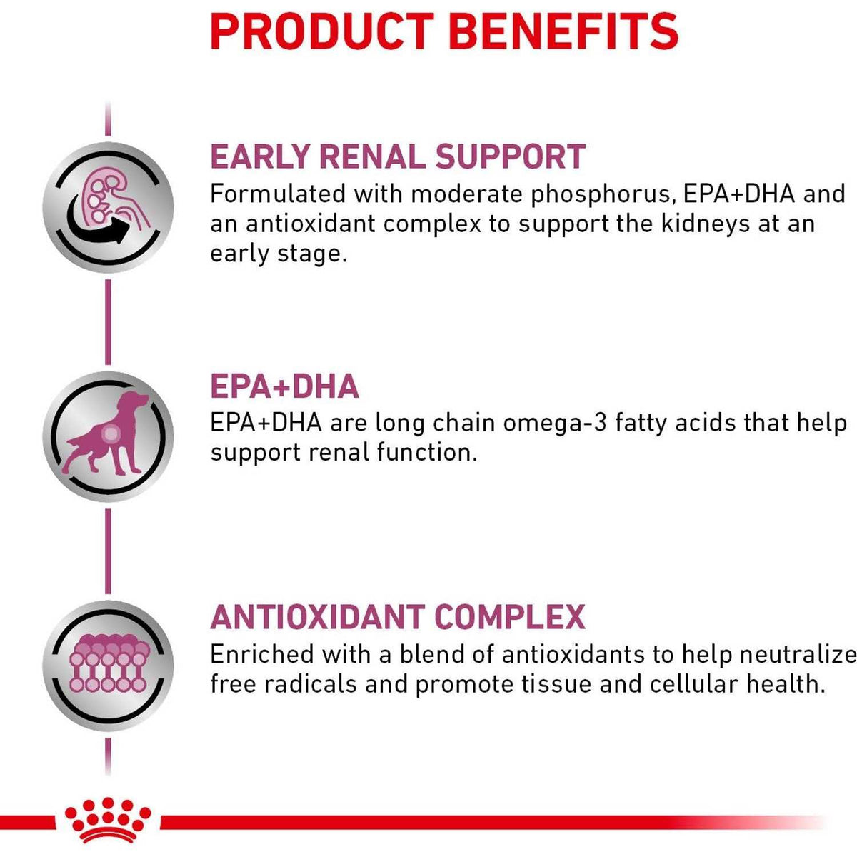 Renal Support Dry Dog Food X1191