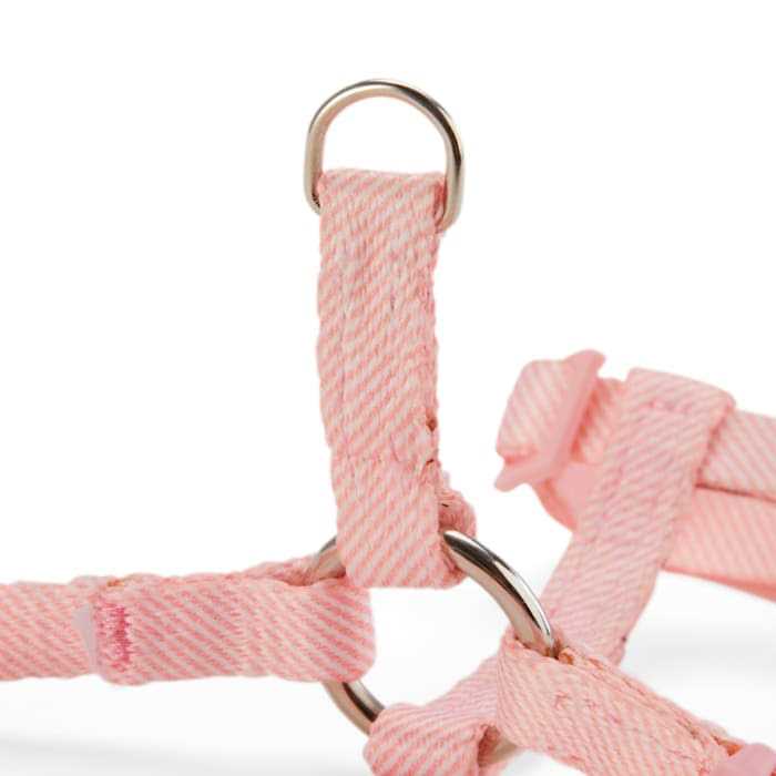 Kitten Harness & Leash Set I1300