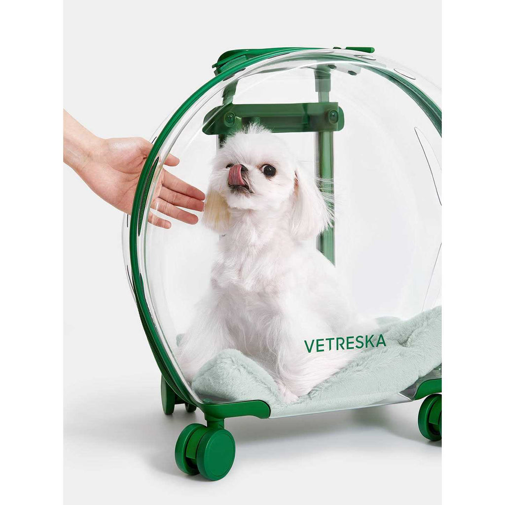 Dog & Cat Carrier O9763