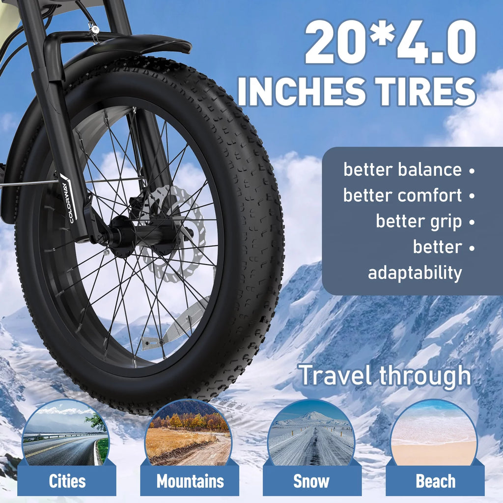 750W Electric Bike 20X4.0 Fat Tire 48V 15Ah Battery Q8754