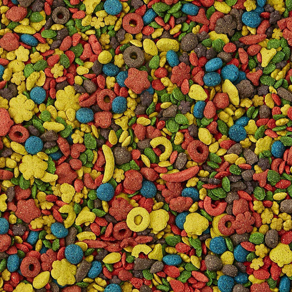 Rainbow P48680