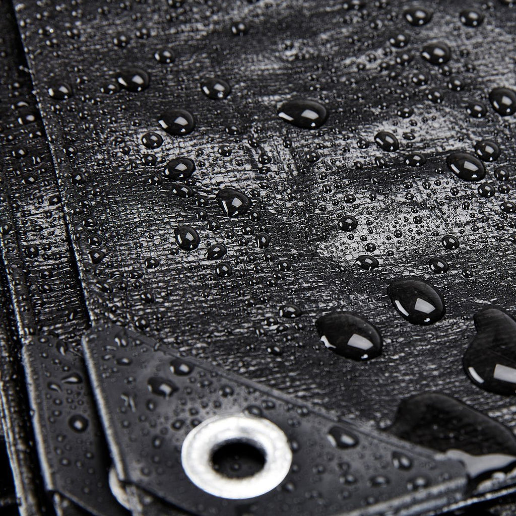 20 ft. x 30 ft. Silver and Black Weather-Resistant Tarp Z72796