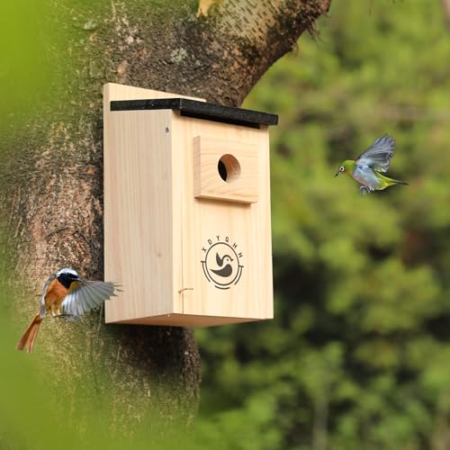 2 Pack Bird Houses K784658