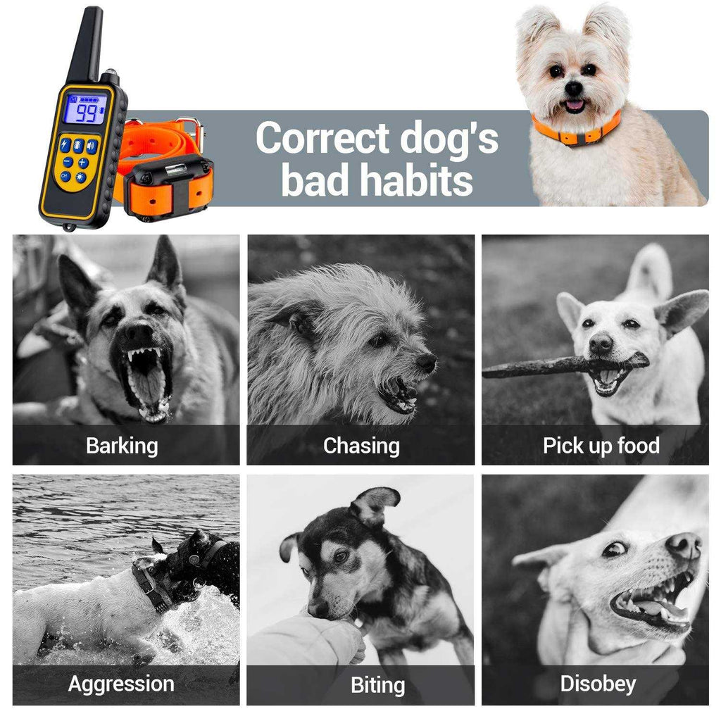 2600FT Dog Training Collar with Remote 3 Modes Beep Vibration Shock C694