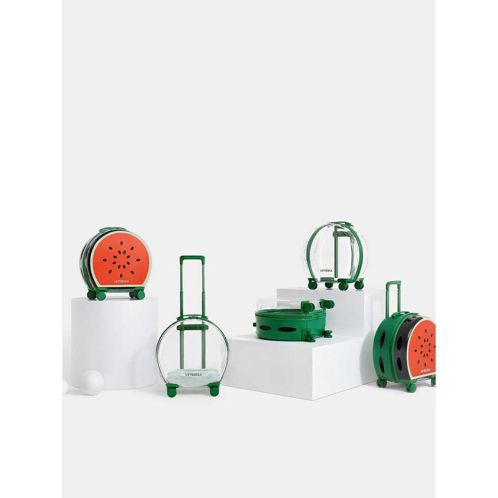 Dog & Cat Carrier O9763