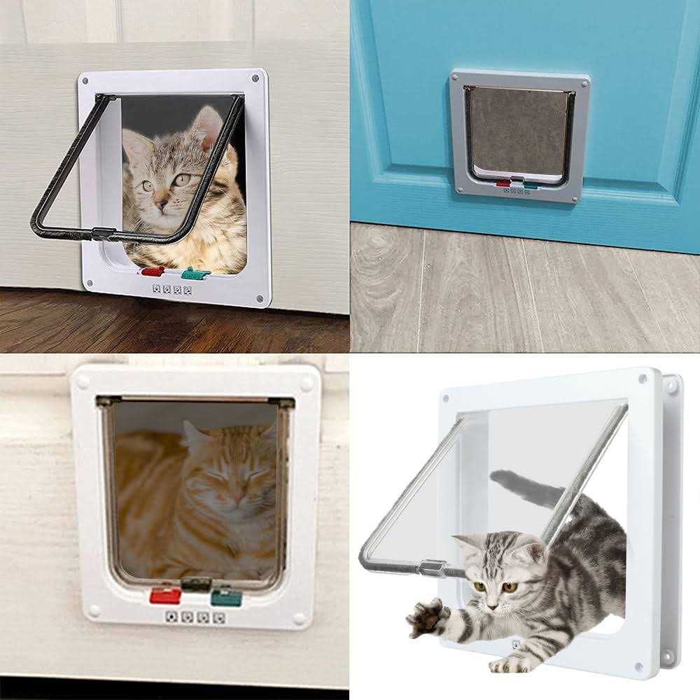 4 Way Locking Cat Door Y30016