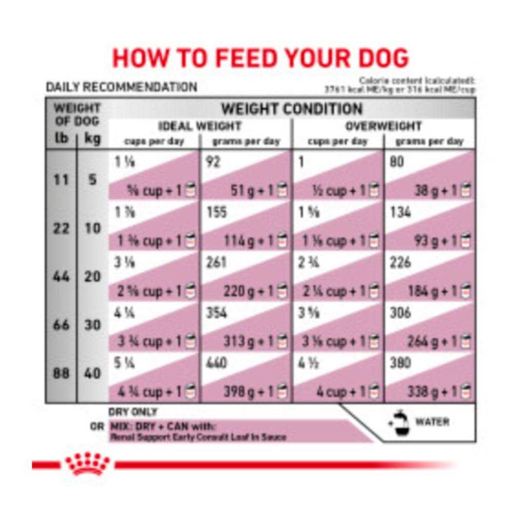 Renal Support Dry Dog Food X1191
