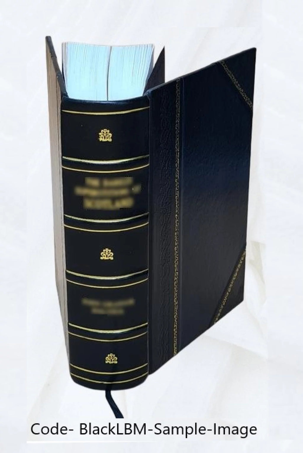 Leather Bound F30892