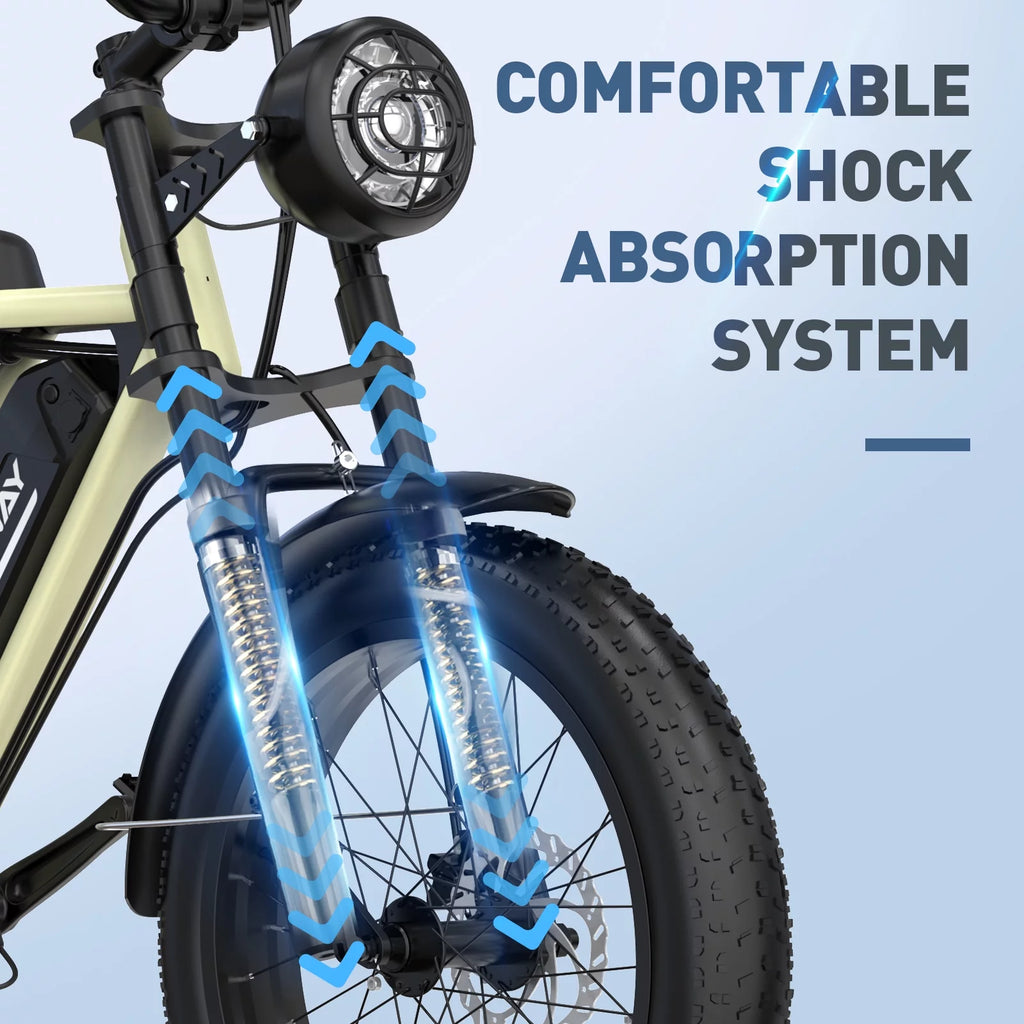 750W Electric Bike 20X4.0 Fat Tire 48V 15Ah Battery Q8754