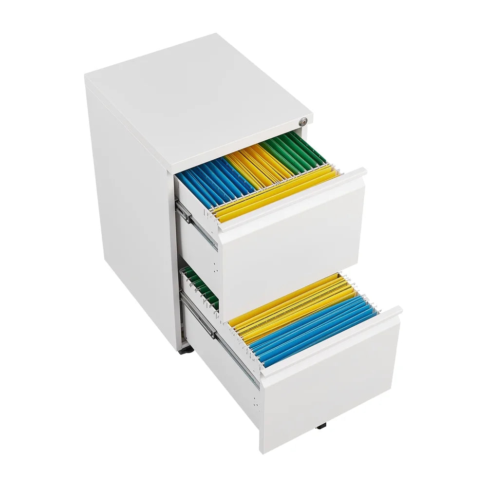 Black 2 Drawer Metal Mobile File Cabinet with Lock D381291