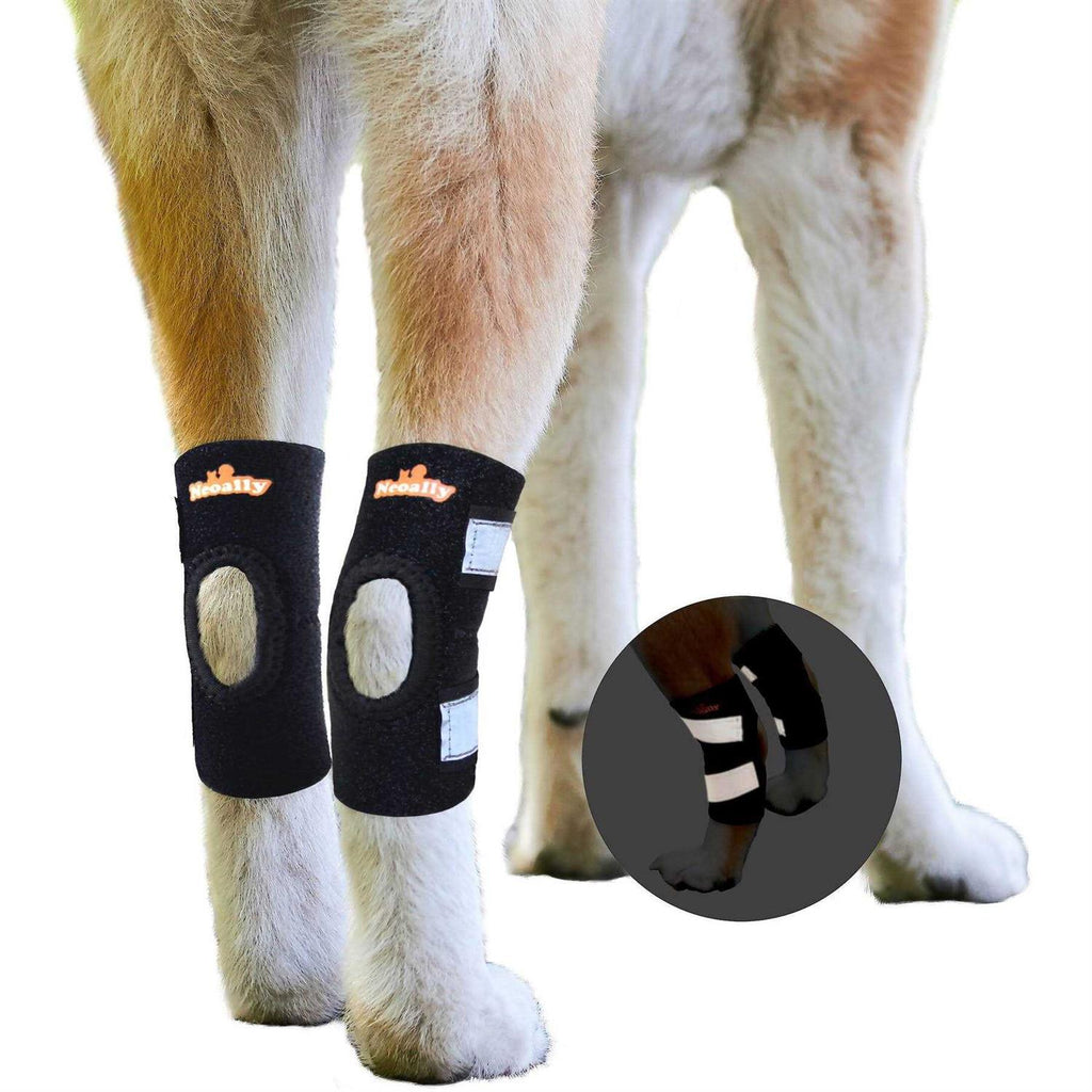 Dog Rear Leg Hock Ankle Support with Reflective Straps A424351