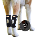 Dog Rear Leg Hock Ankle Support with Reflective Straps A424351