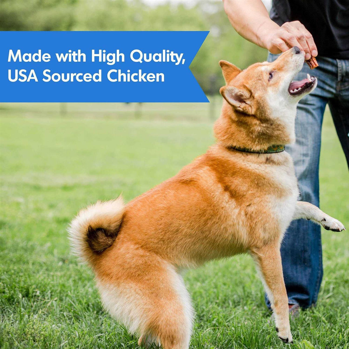 Chicken Dog Hip & Joint Jerky M275