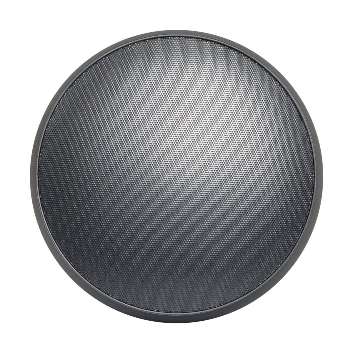 120W Hanging Speaker Z37492