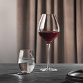 Red Wine Glass X932