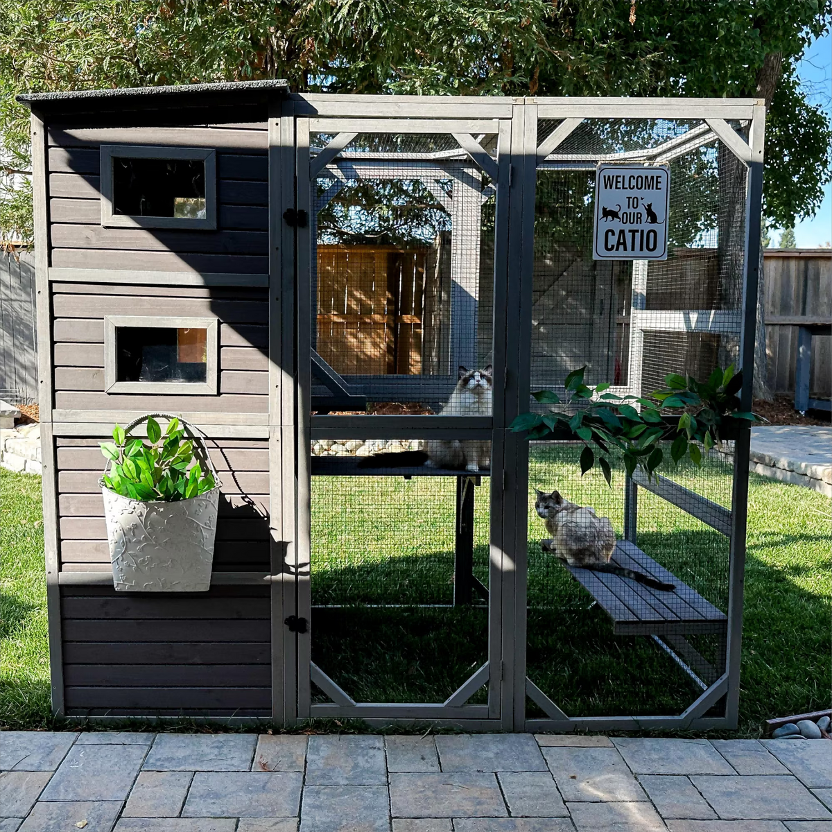 70''H 4 Tiers Outdoor Cat Cage P64723