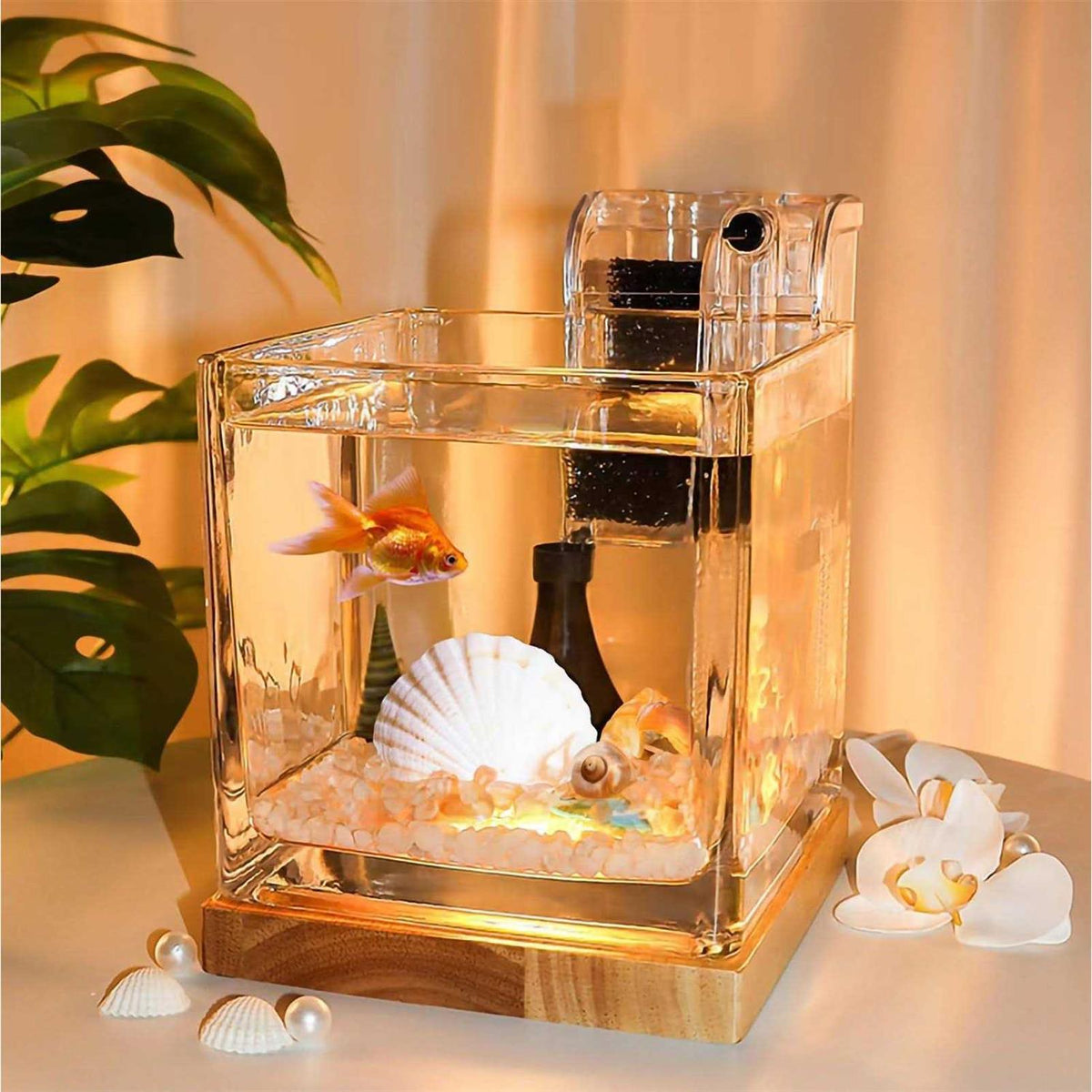 0.81 Gallon Glass Fish Tank Kit Z2871