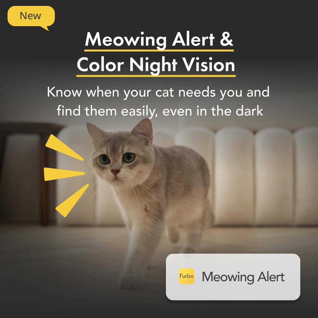 360 View Cat Camera Treat Dispenser V803032