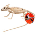 Halloween Lizard Skeleton (Pack of 24) J1422
