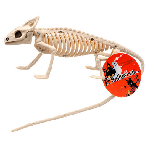 Halloween Lizard Skeleton (Pack of 24) J1422