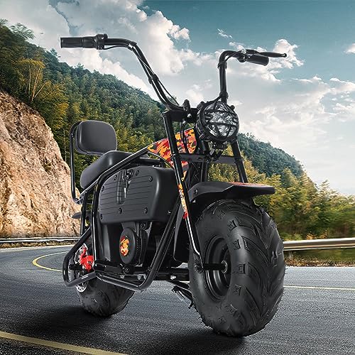 36V 1000W Electric Dirt Bike, 2-Speed Off-Road Motorcycle, Dark Red M814