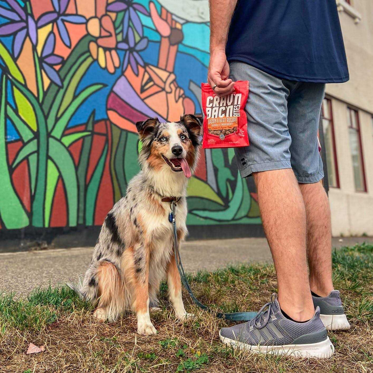 Dog Treats Q7348