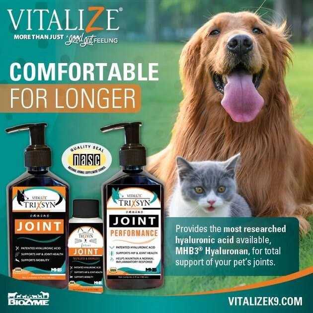 Canine Joint Supplement S353