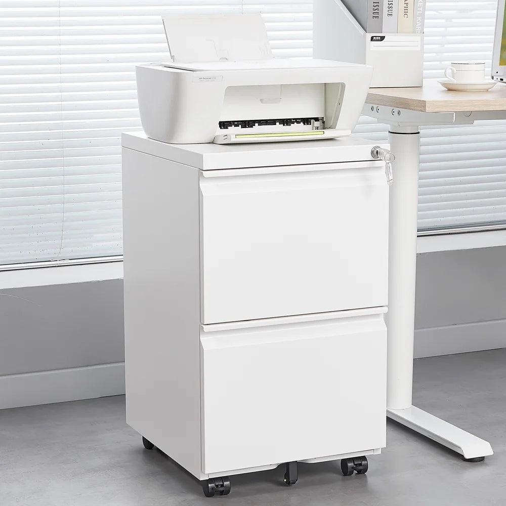 Black 2 Drawer Metal Mobile File Cabinet with Lock D381291