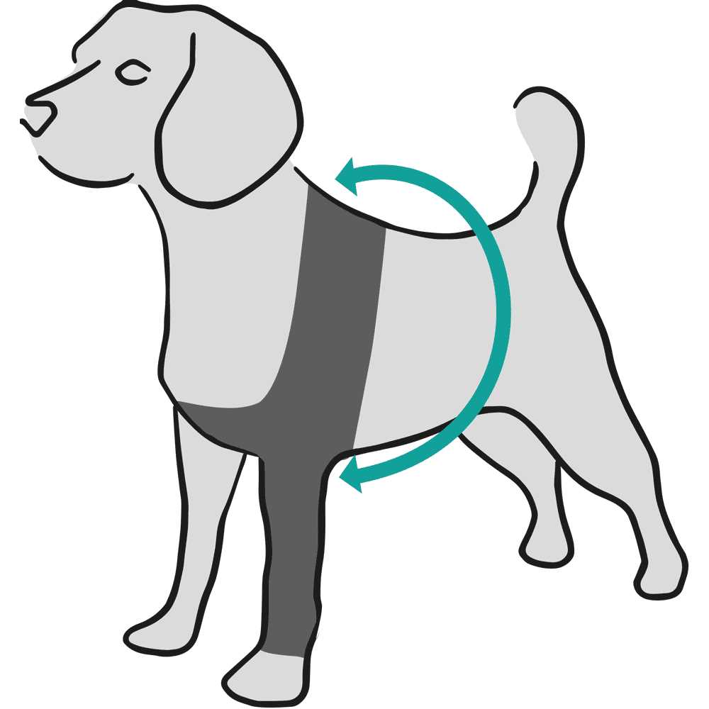 Dog Recovery Sleeve S54388