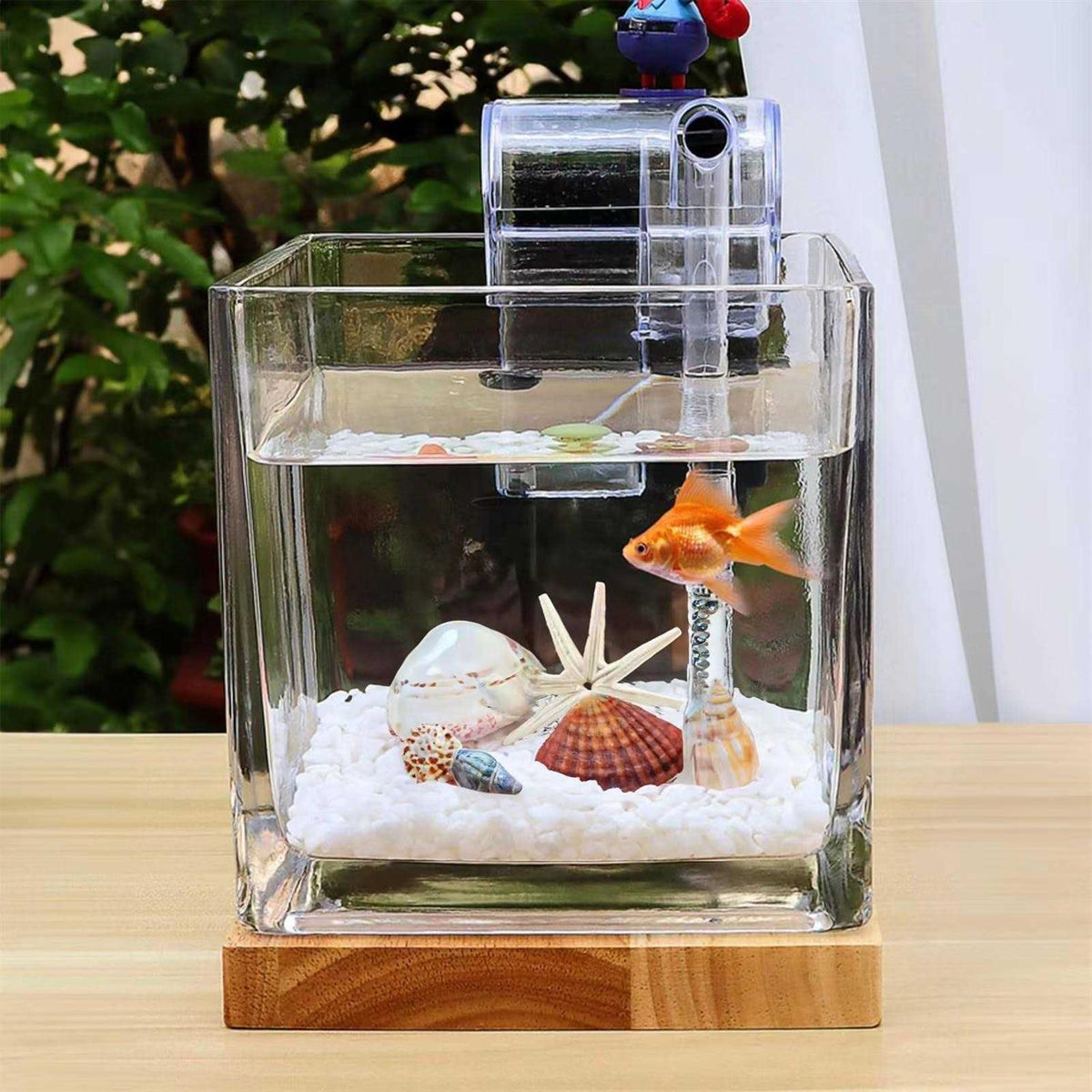 0.81 Gallon Glass Fish Tank Kit Z2871