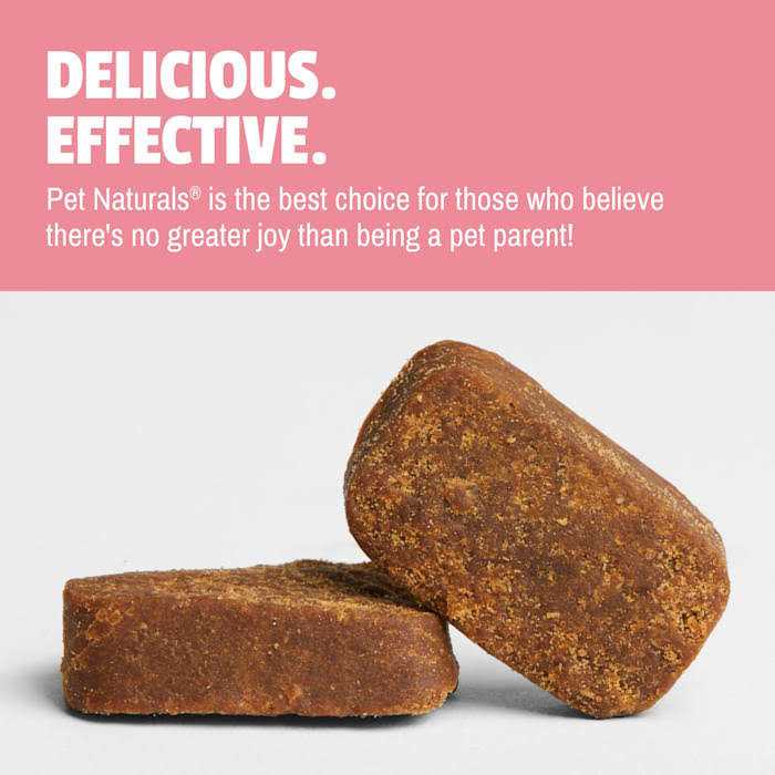 Daily Probiotic for Dogs C50758