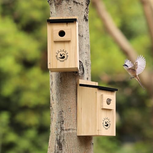 2 Pack Bird Houses K784658
