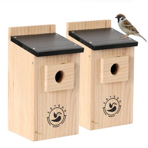 2 Pack Bird Houses K784658