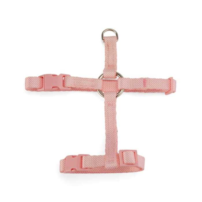 Kitten Harness & Leash Set I1300