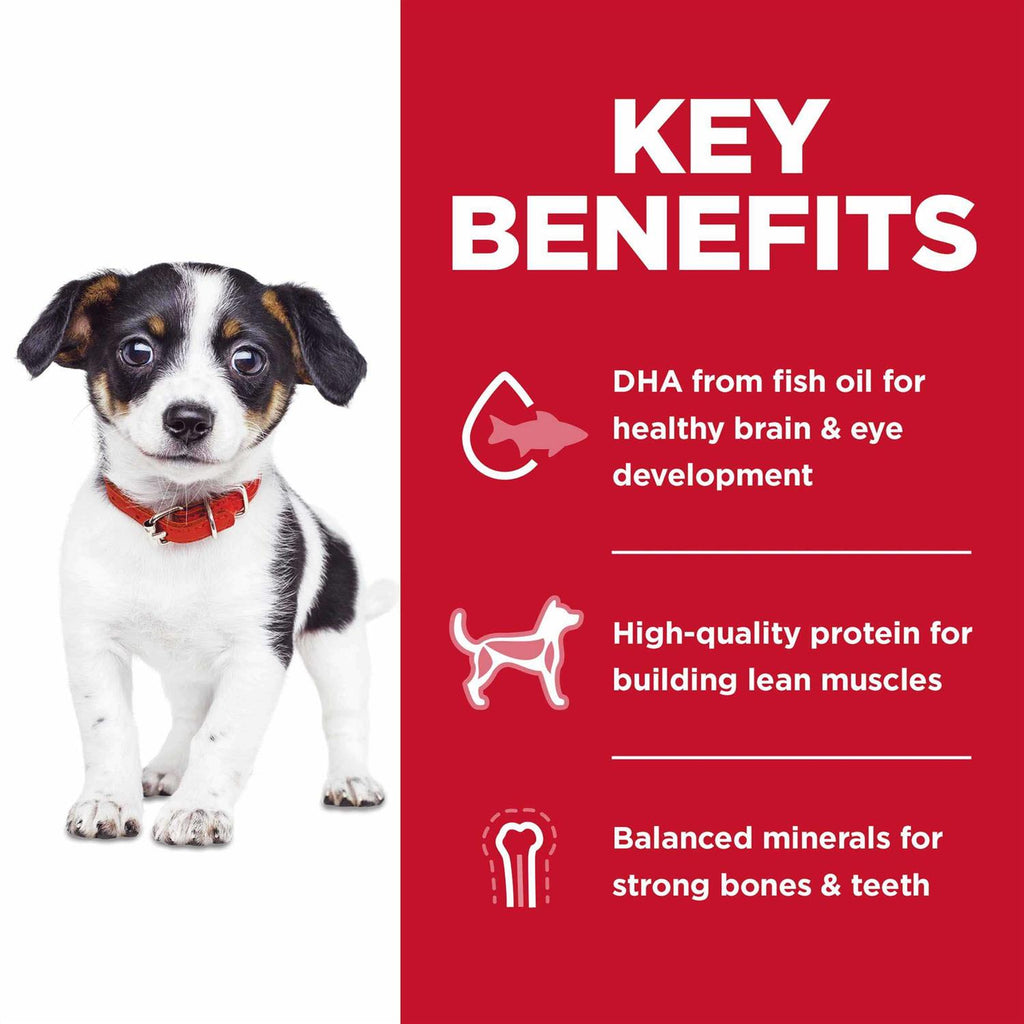 Dry Dog Food T6617