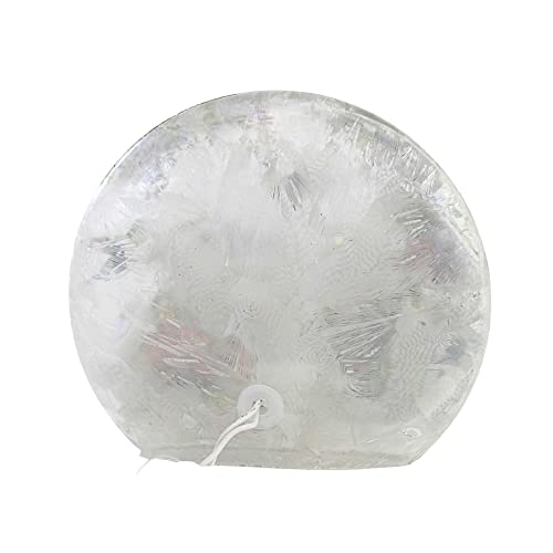 Coral Glass Hummingbirds Flowers Electric Orb, 7.0 inch Q16877