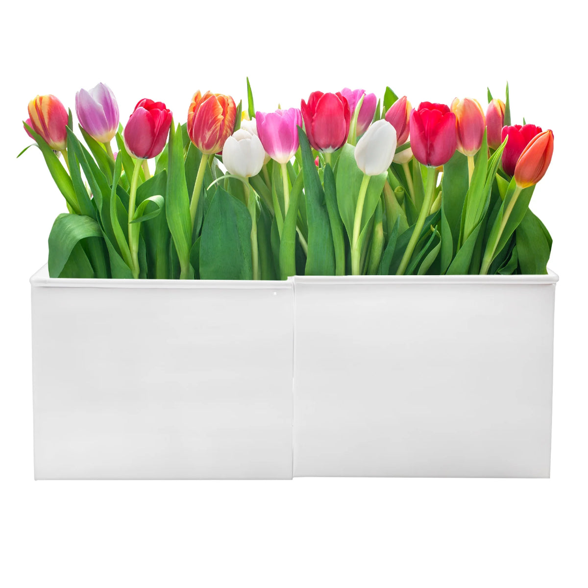 White Square Umbrella Planter G915