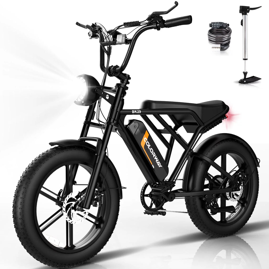 750W Electric Bike 20X4.0 Fat Tire 48V 15Ah Battery Q8754