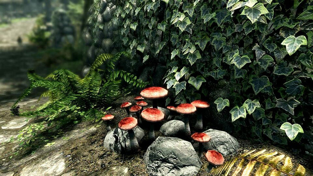 The Elder Scrolls V Skyrim Special Xbox One F14141