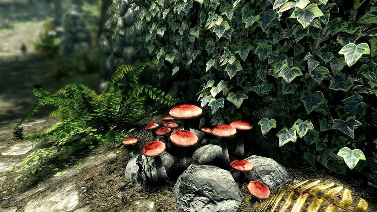 The Elder Scrolls V Skyrim Special Xbox One F14141