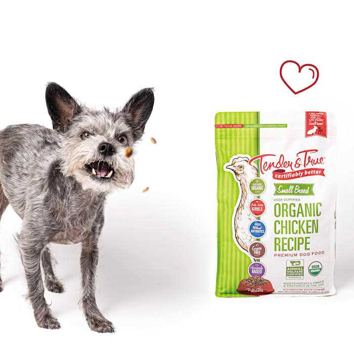 Organic Chicken Dry Dog Food B741