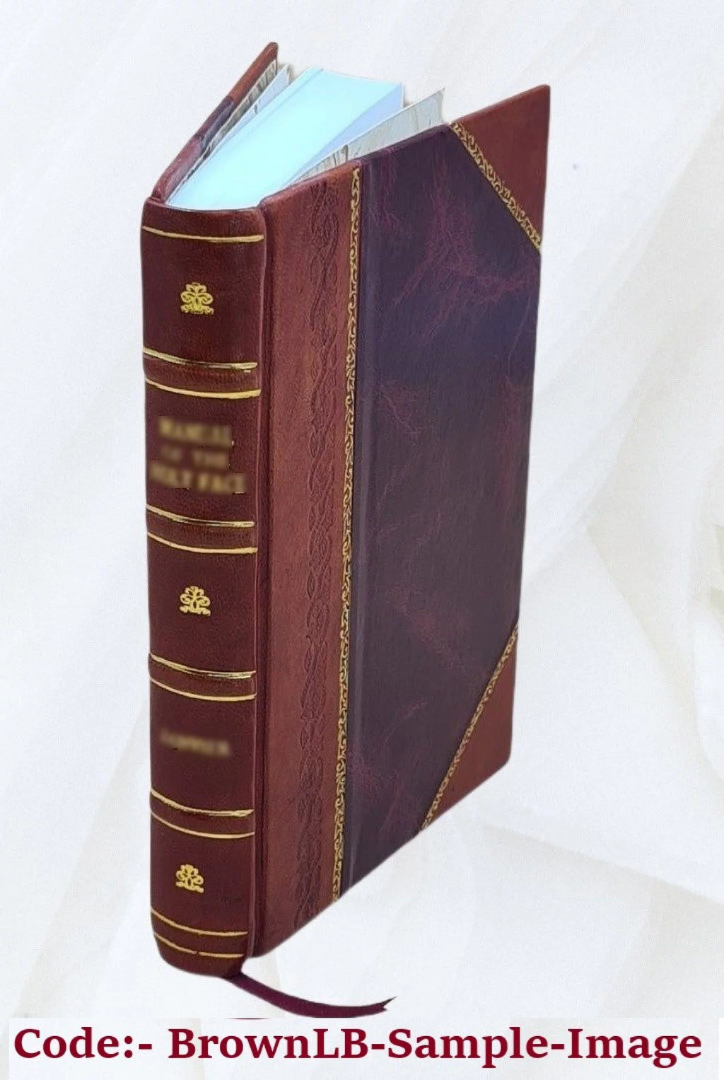 Leather Bound T3315