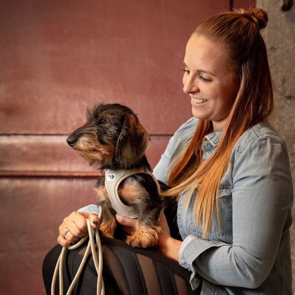 Air-Mesh Vest Dog Harness R900