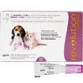 Revolution for Puppies & Kittens Q15951