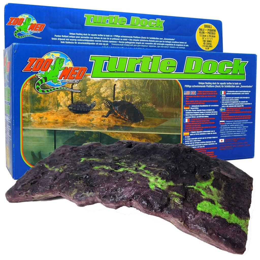 Turtle Dock P310981