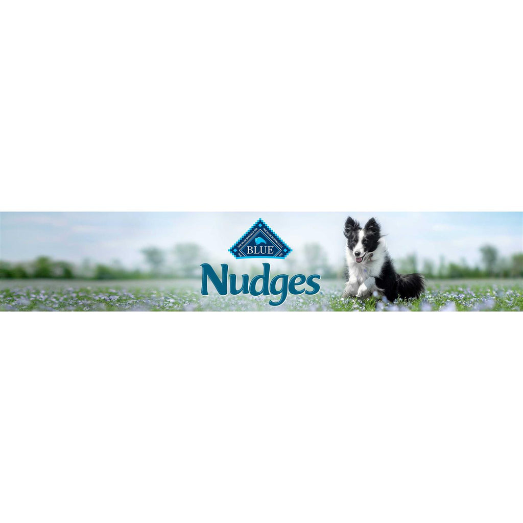 Chicken Natural Dog Treats A651422